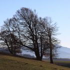 Abendstimmung auf dem Stohren