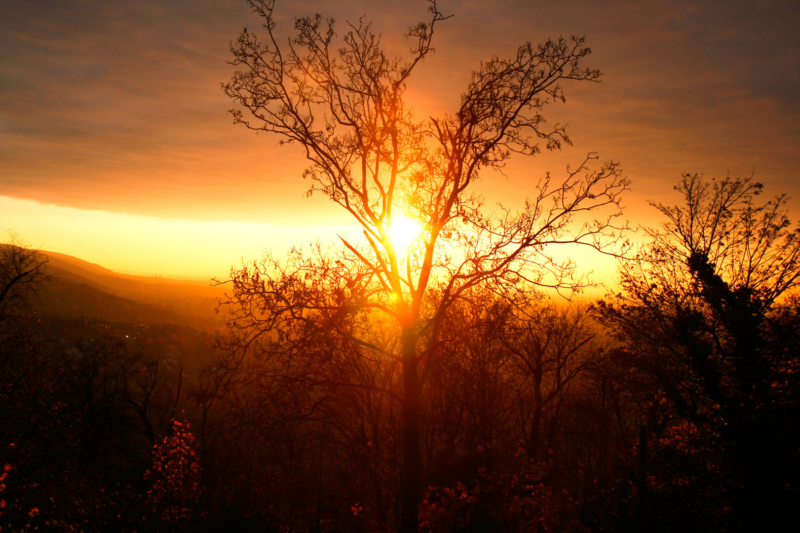 Abendstimmung auf dem Turmberg in Durlach