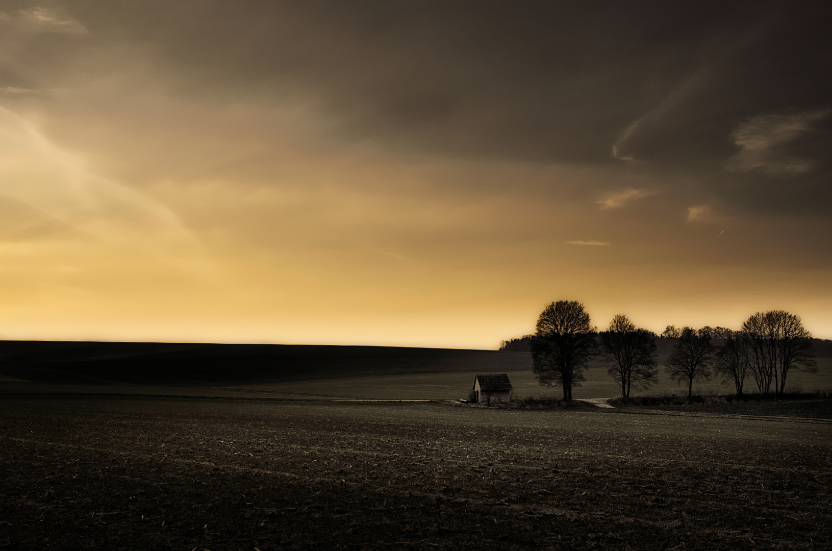 Abendstimmung auf dem Venusberg