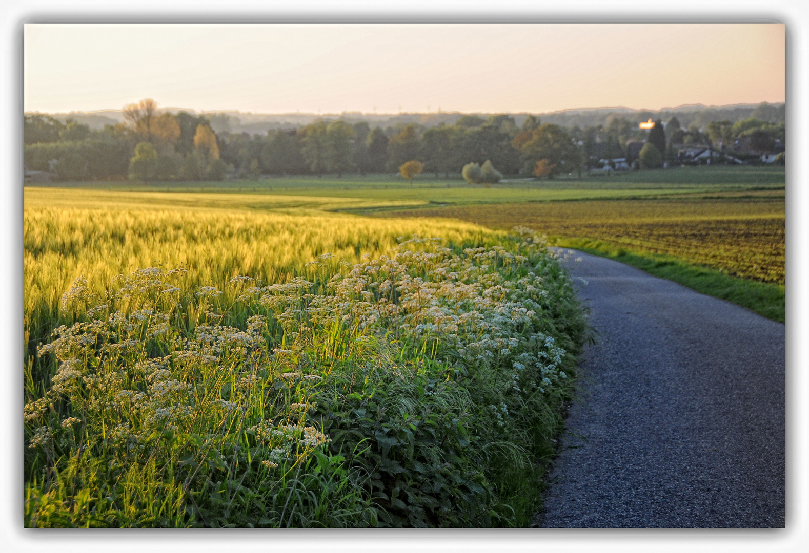 Abendstimmung auf den Feldern