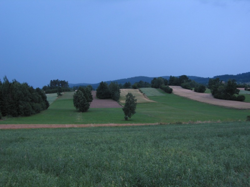 Abendstimmung auf den Feldern