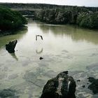 Abendstimmung auf den Galapagos Inseln