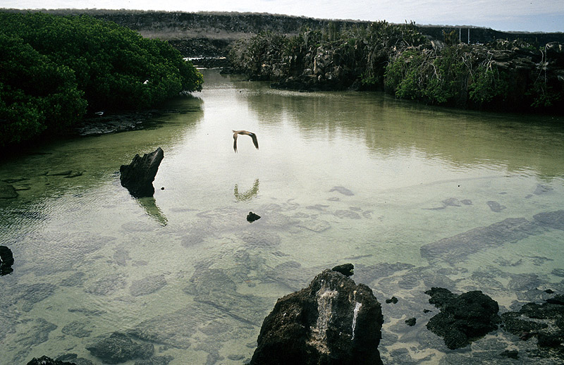 Abendstimmung auf den Galapagos Inseln