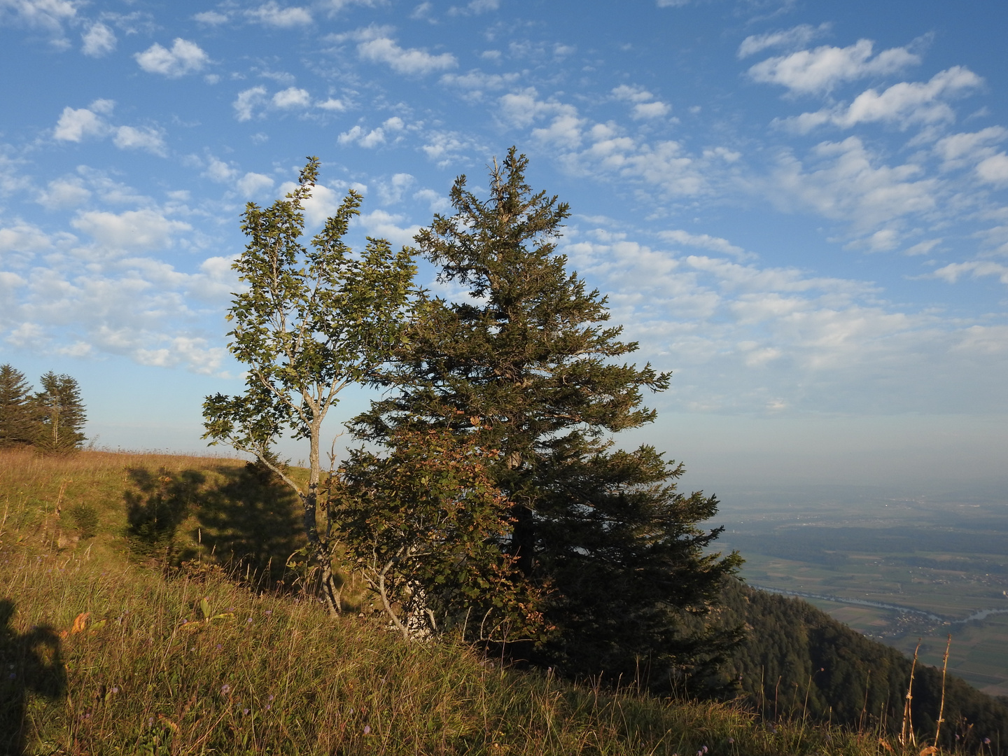 Abendstimmung auf den Grenchenberg