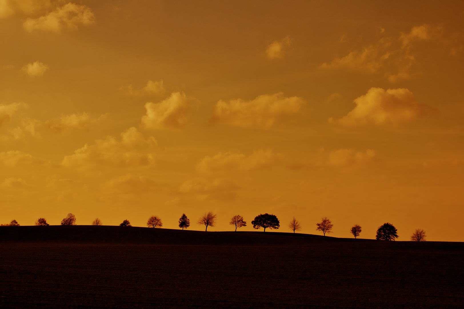 Abendstimmung auf den Wiesen...