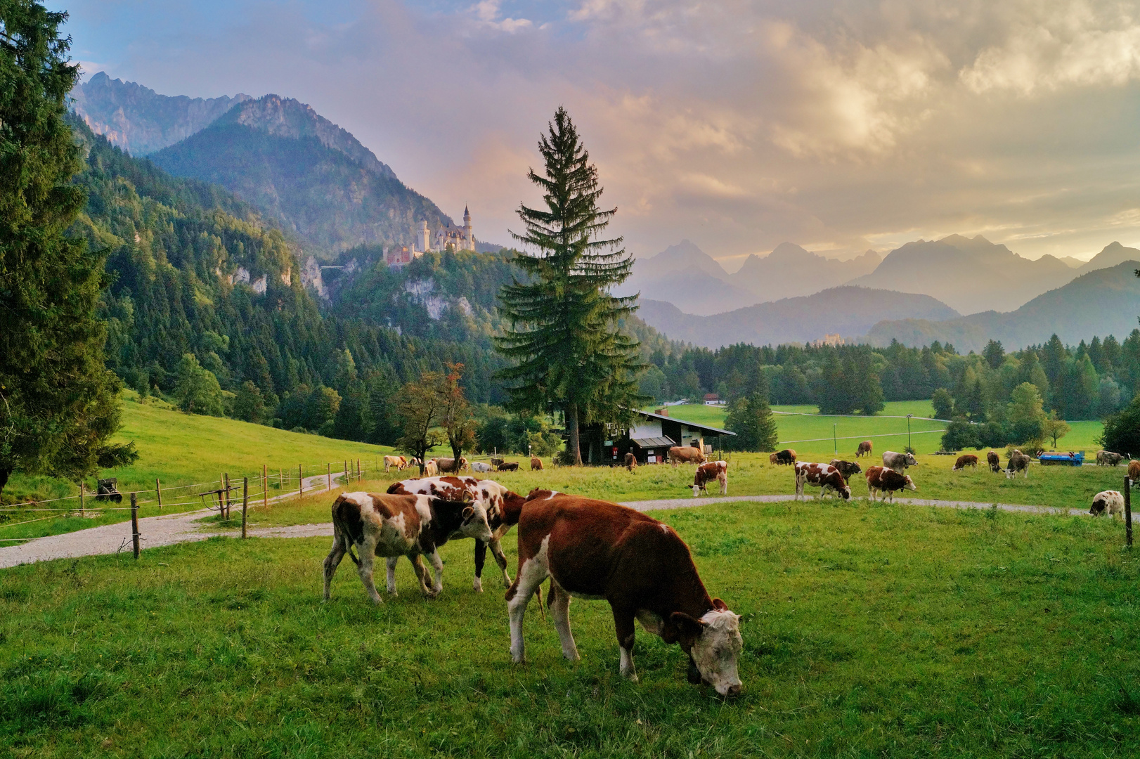 Abendstimmung auf der Alm.