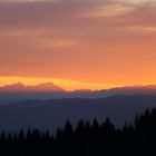 Abendstimmung auf der Alm