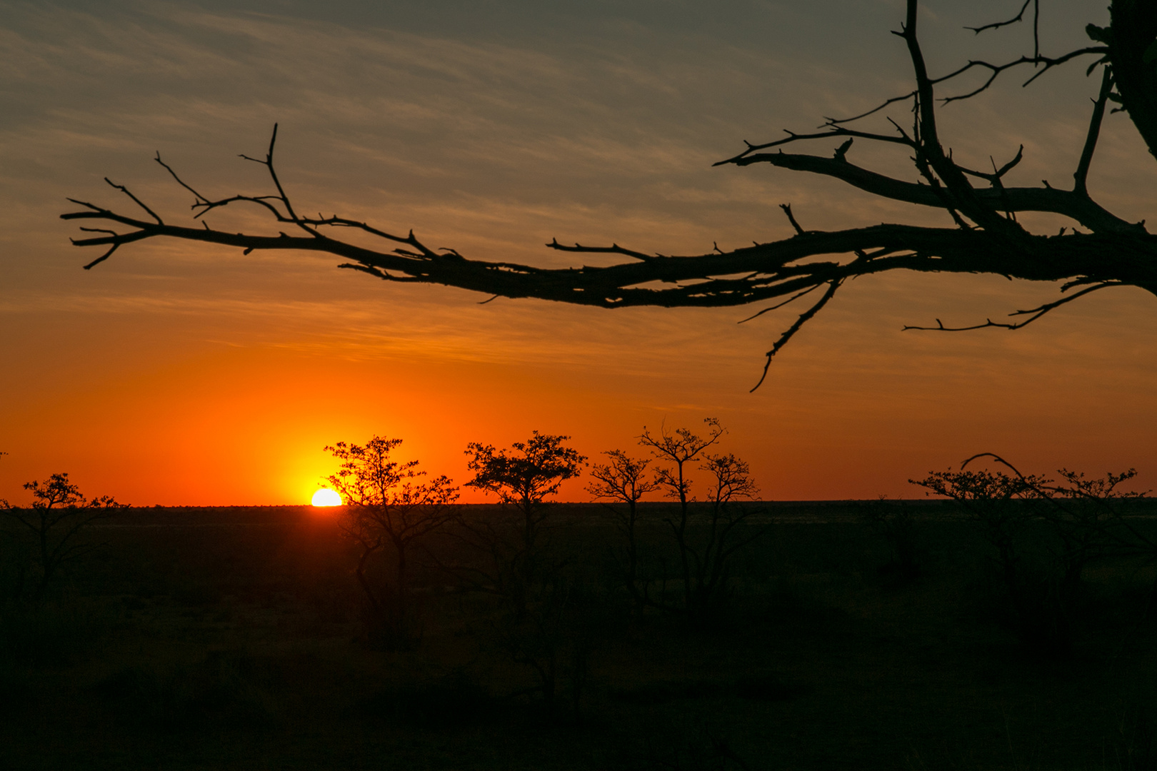 Abendstimmung auf der Bitterwasser Lodge mitten in der Wüste Kalahari 