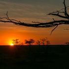 Abendstimmung auf der Bitterwasser Lodge mitten in der Wüste Kalahari 