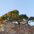 Abendstimmung auf der Burg