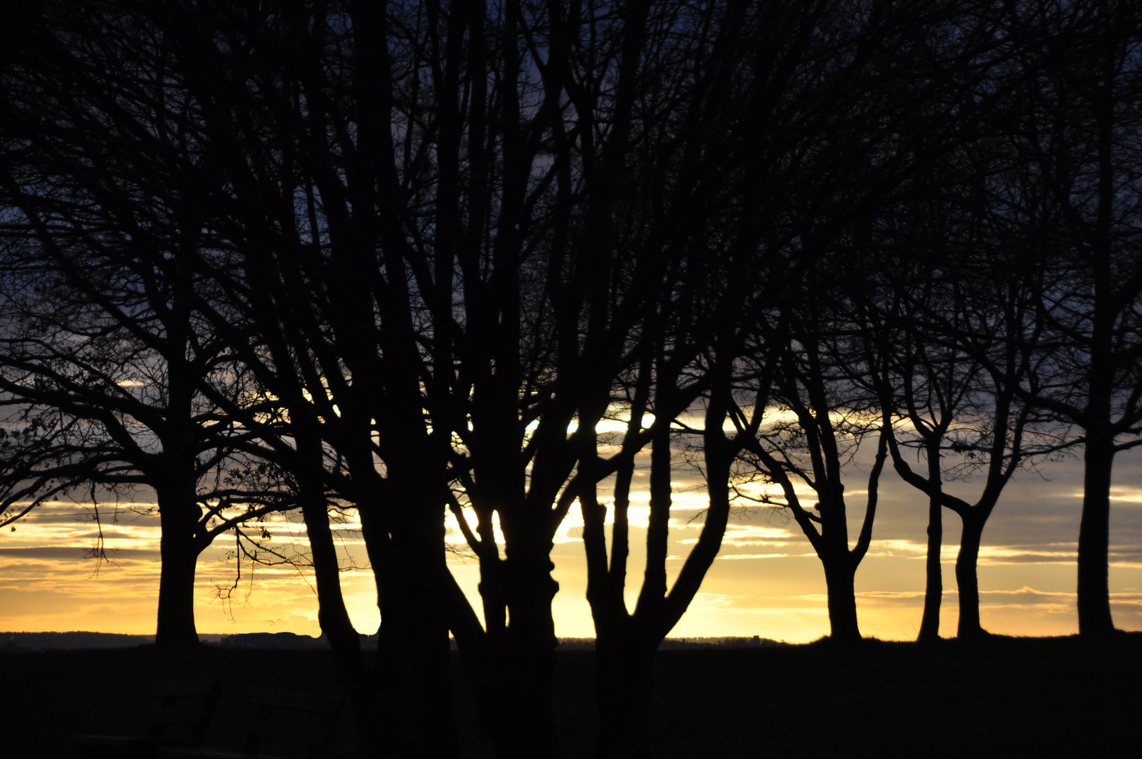 Abendstimmung auf der Egelseer Heide