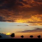 Abendstimmung auf der Haar