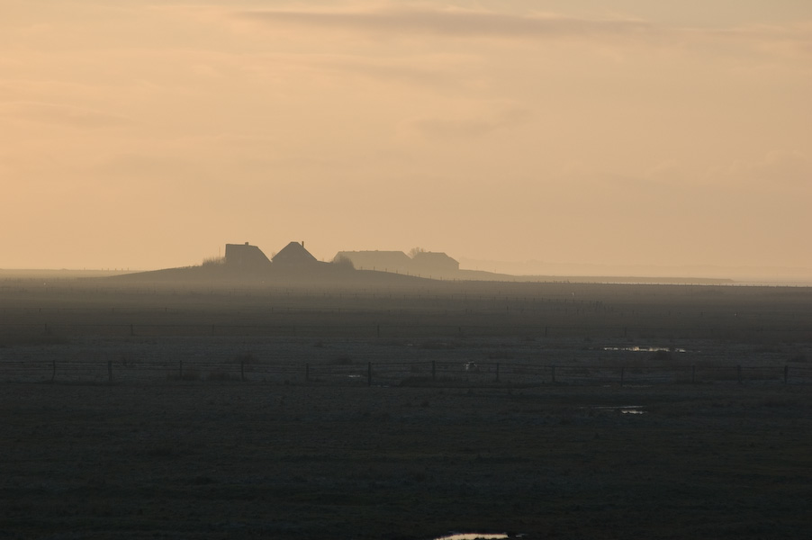 Abendstimmung auf der Hallig