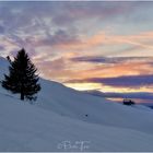 Abendstimmung auf der Hochalp