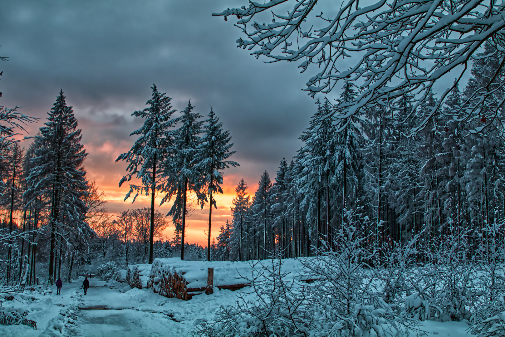 Abendstimmung auf der Hohen Wurzel