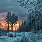 Abendstimmung auf der Hohen Wurzel