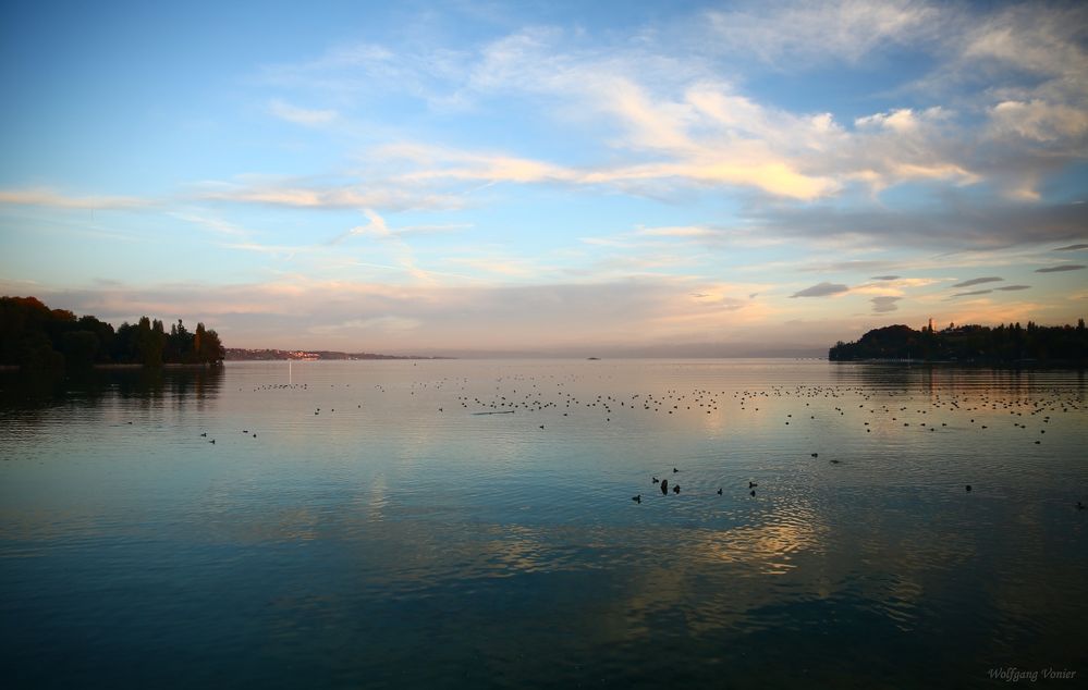 Abendstimmung auf der Insel Mainau mit Blick über den Bodensee