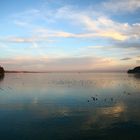 Abendstimmung auf der Insel Mainau mit Blick über den Bodensee