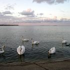 Abendstimmung auf der Kurischen Nehrung