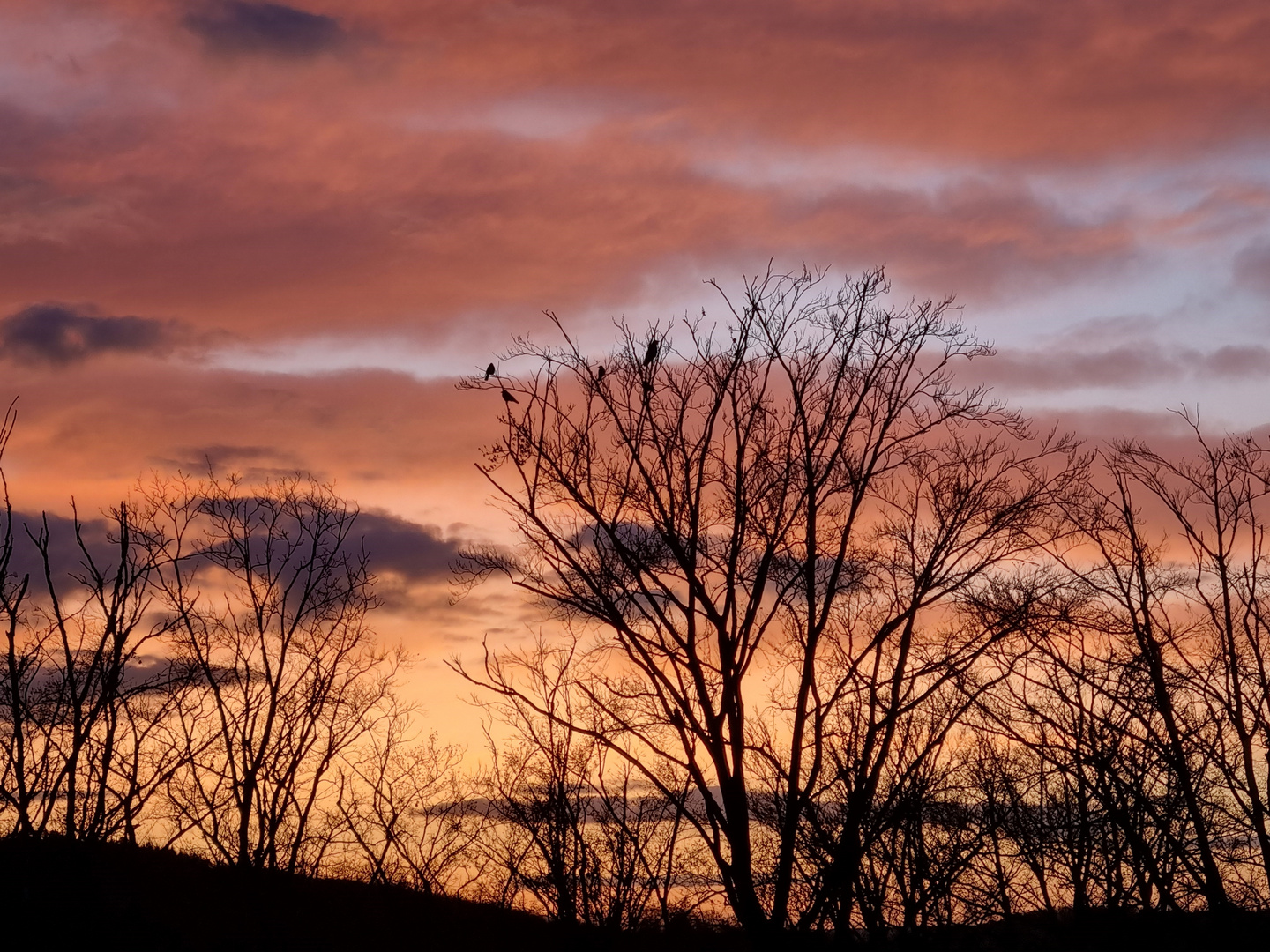 Abendstimmung auf der Ostalb