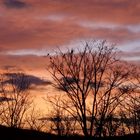 Abendstimmung auf der Ostalb