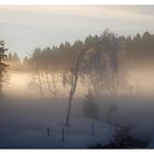 Abendstimmung auf der Platte