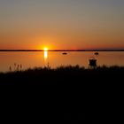 Abendstimmung auf der Rügeninsel Ummanz