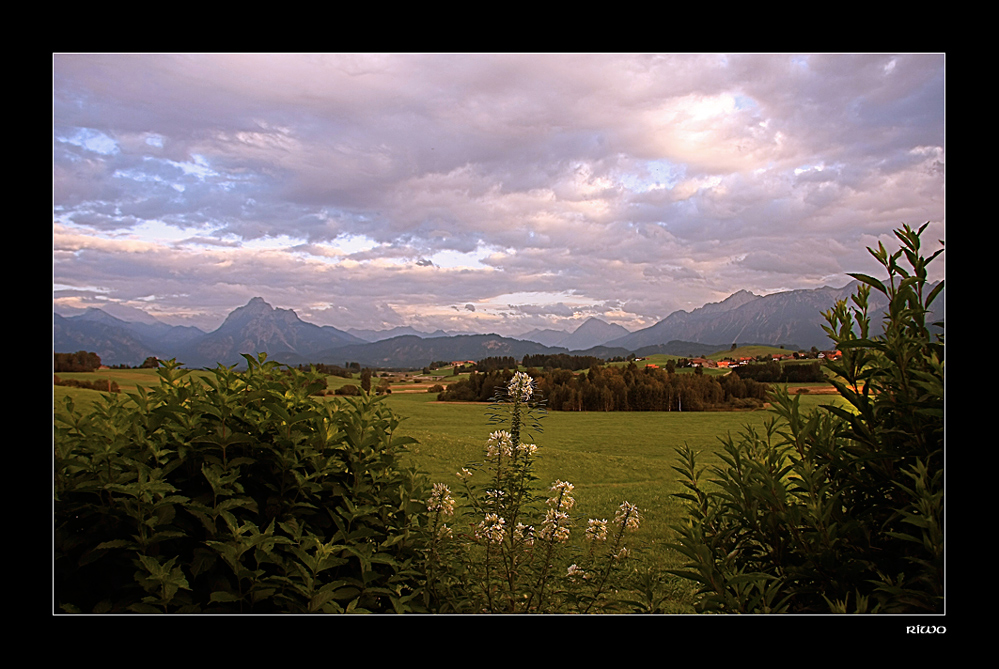 Abendstimmung auf der Terrasse.........