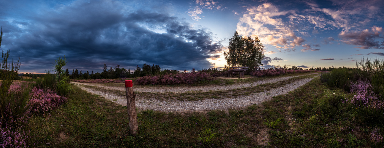 Abendstimmung auf der Trupbacher Heide.