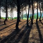 Abendstimmung auf Elba