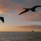 Abendstimmung auf Galapagos