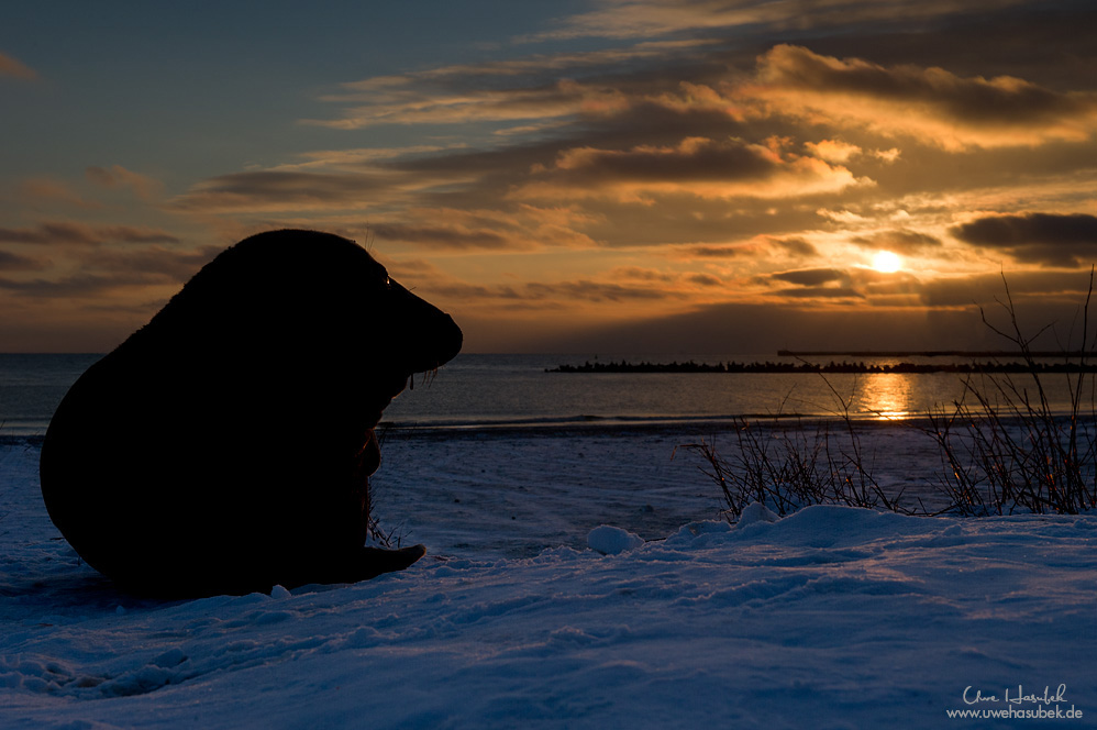 *** Abendstimmung auf Helgoland ***