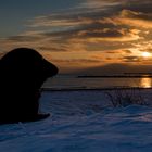 *** Abendstimmung auf Helgoland ***