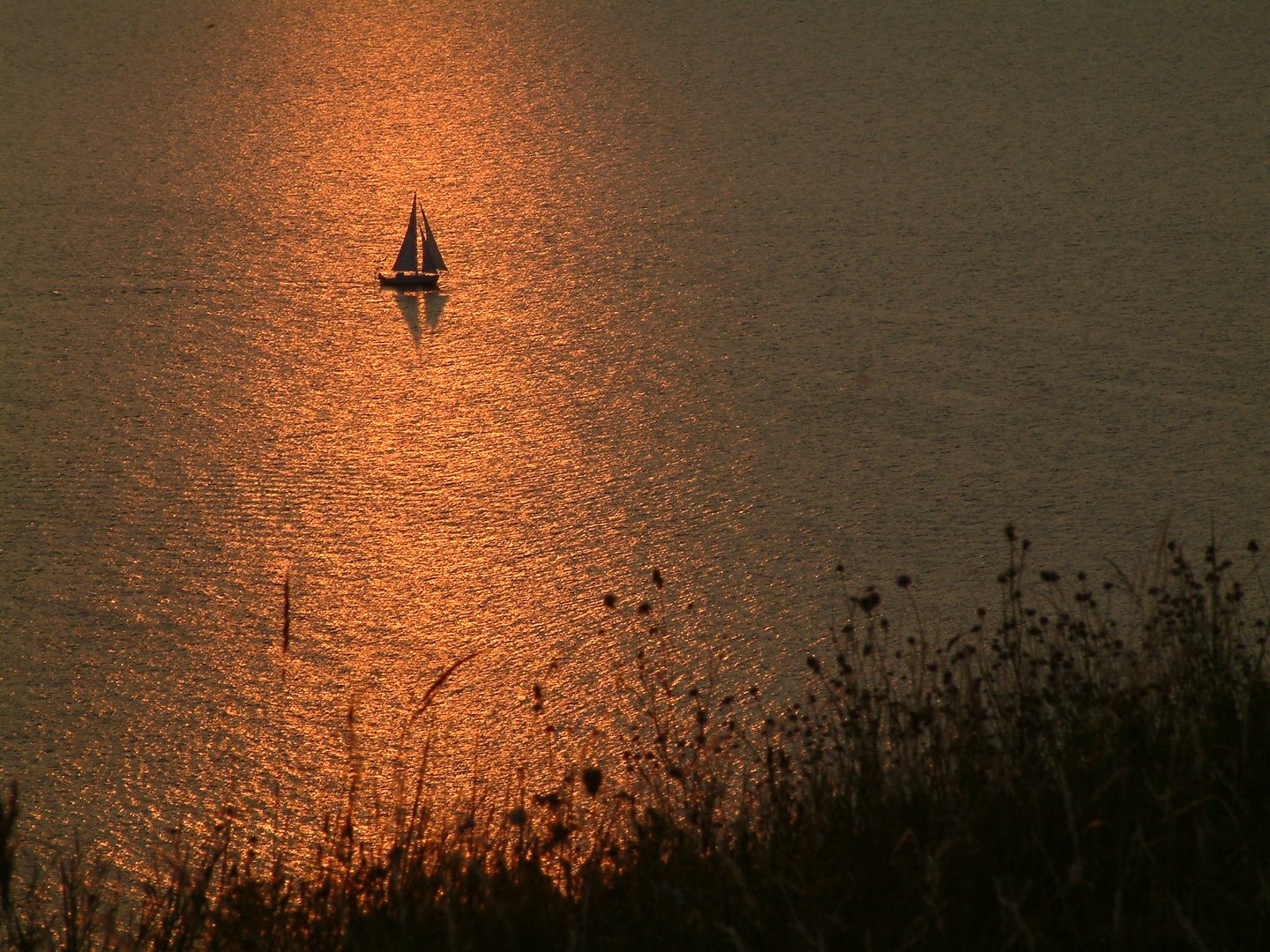 Abendstimmung auf Hiddensee