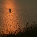 Abendstimmung auf Hiddensee