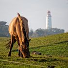 Abendstimmung auf Hiddensee