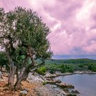 Abendstimmung auf Insel Cres (Kroatien)