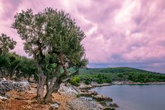 Abendstimmung auf Insel Cres (Kroatien)