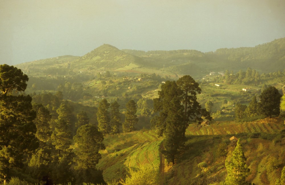 Abendstimmung auf La Palma