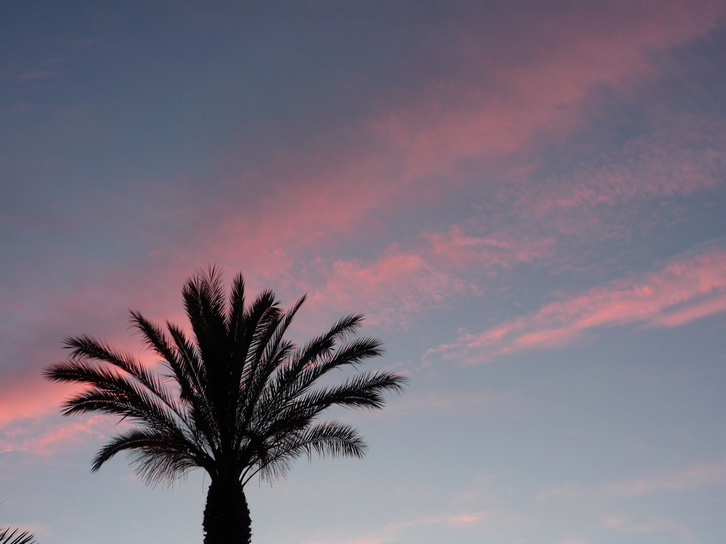 Abendstimmung auf Mallorca