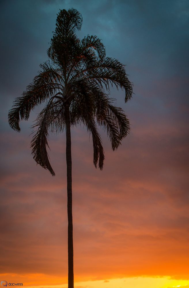 Abendstimmung auf Maui