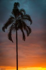 Abendstimmung auf Maui