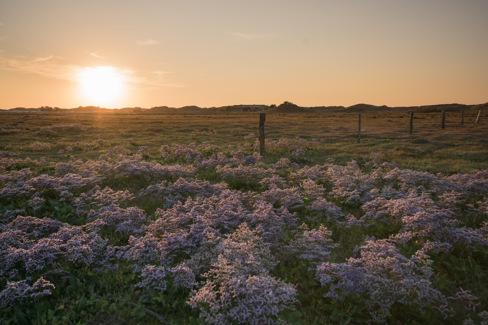 Abendstimmung auf Norderney