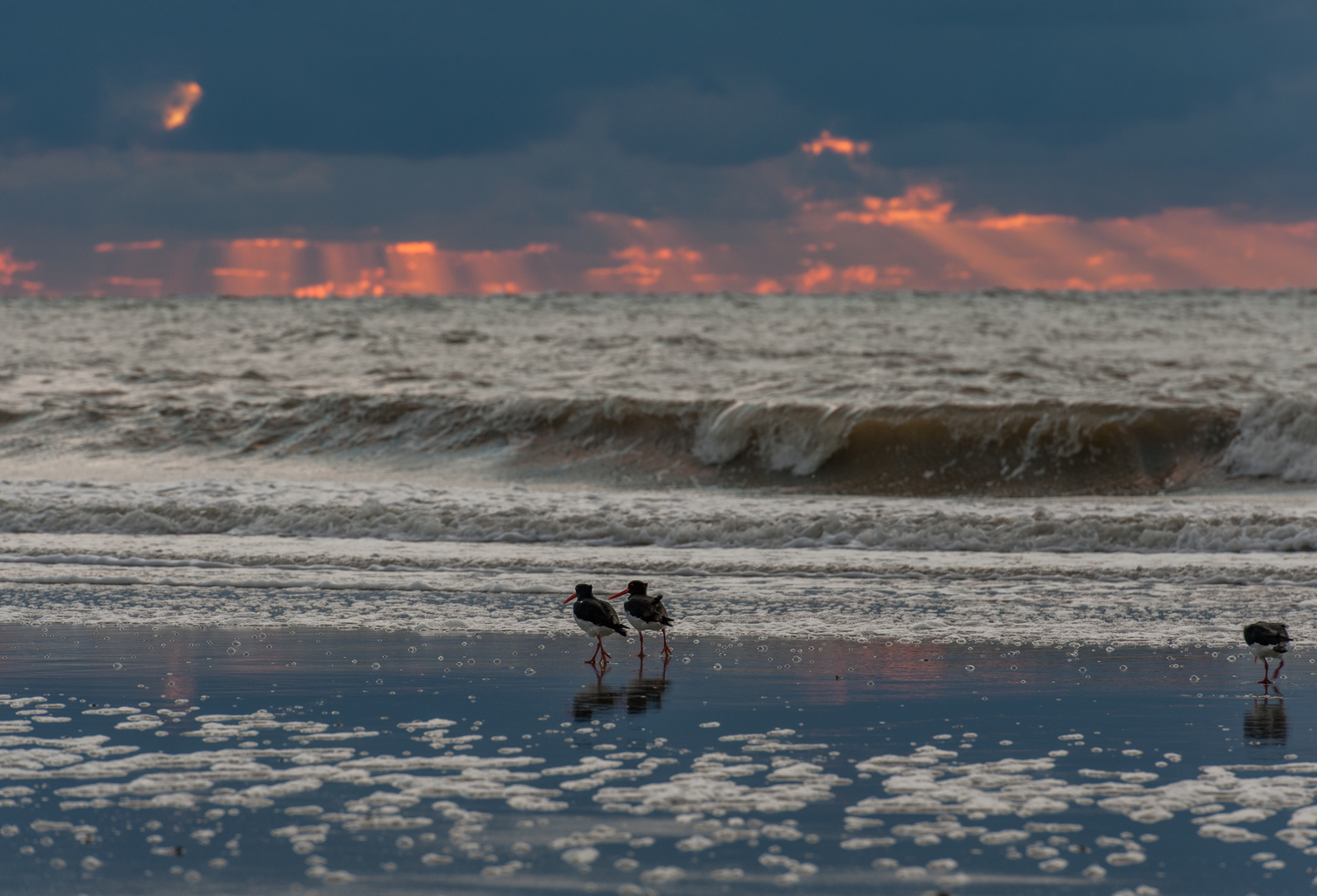 Abendstimmung auf Norderney VII