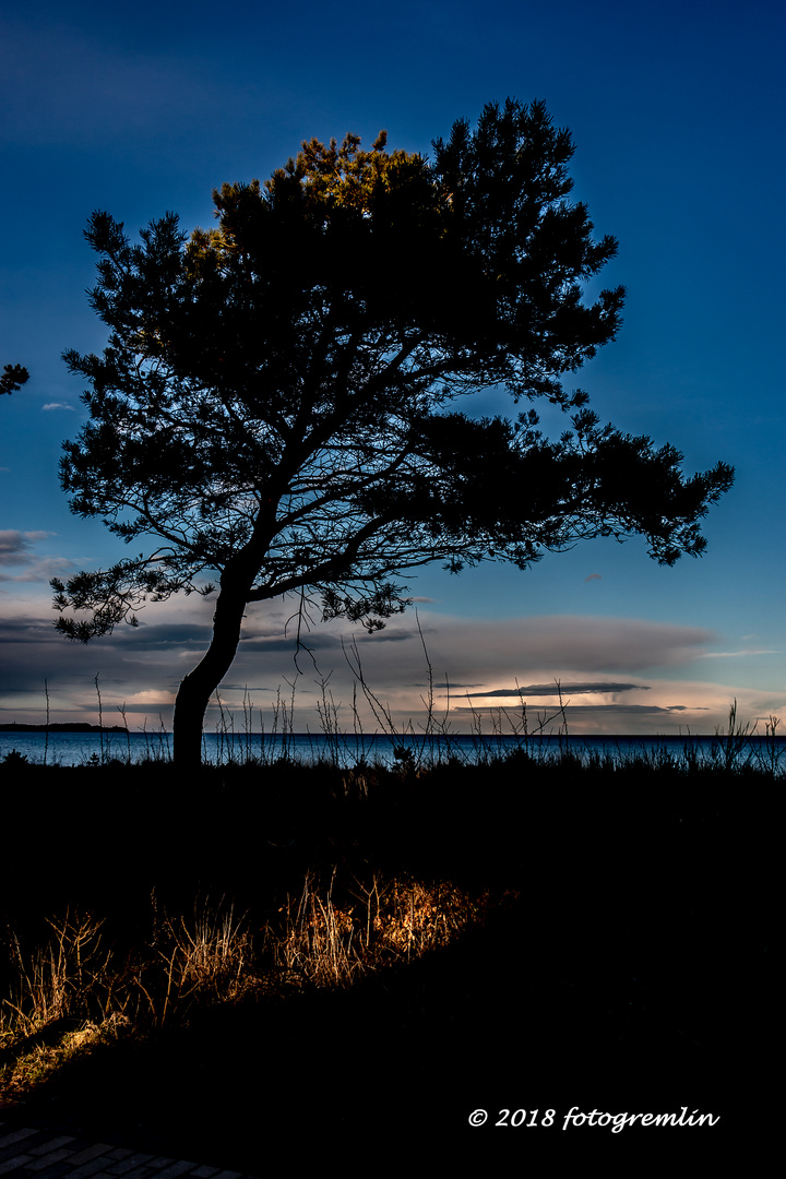 Abendstimmung auf Rügen