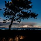 Abendstimmung auf Rügen