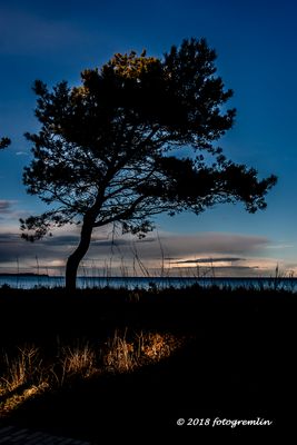 Abendstimmung auf Rügen