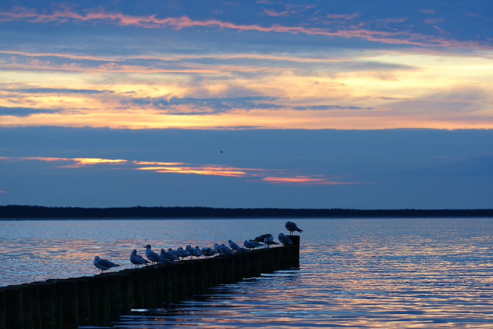 Abendstimmung auf Rügen