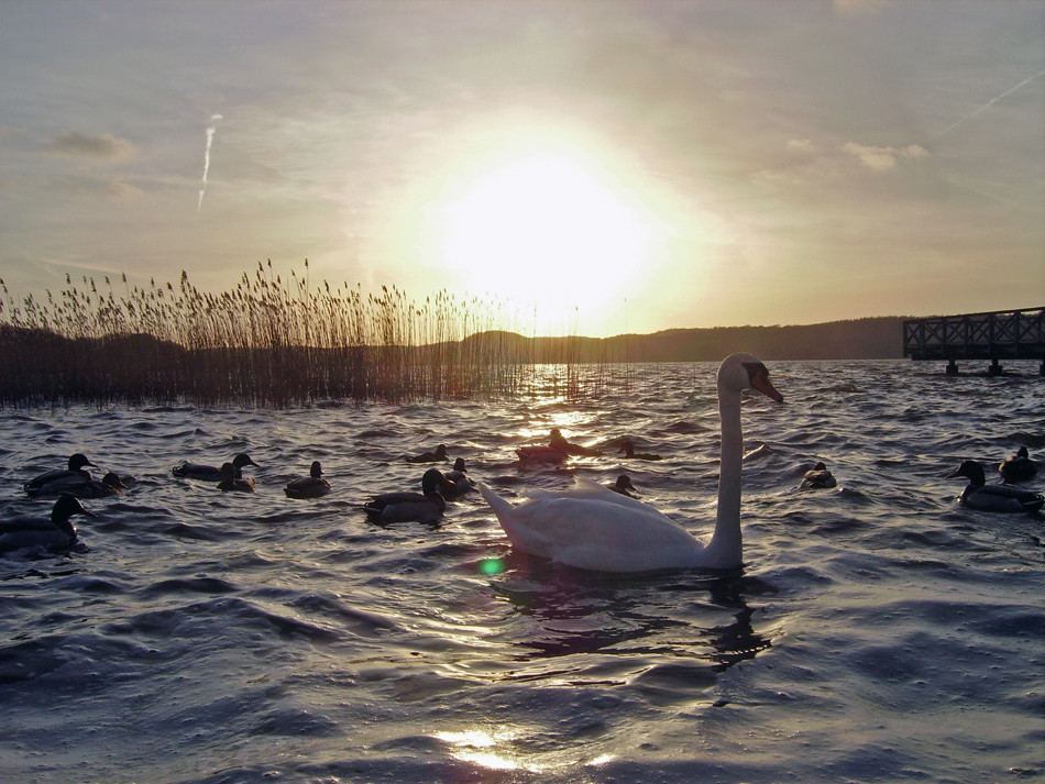 Abendstimmung auf Rügen