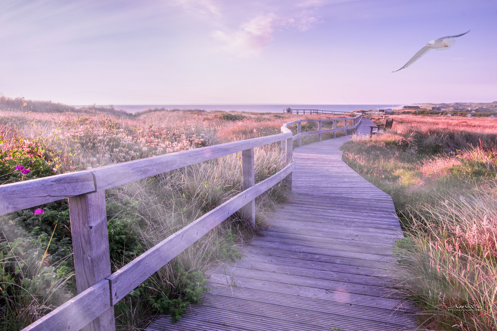 Abendstimmung auf Sylt